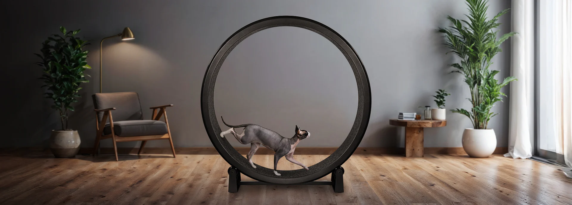 Unleash Your Cat's Natural Instincts
